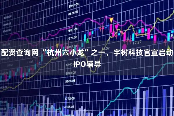 配资查询网 “杭州六小龙”之一，宇树科技官宣启动IPO辅导