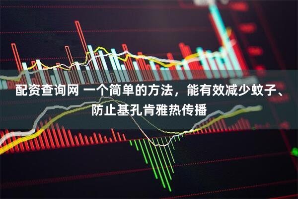 配资查询网 一个简单的方法，能有效减少蚊子、防止基孔肯雅热传播